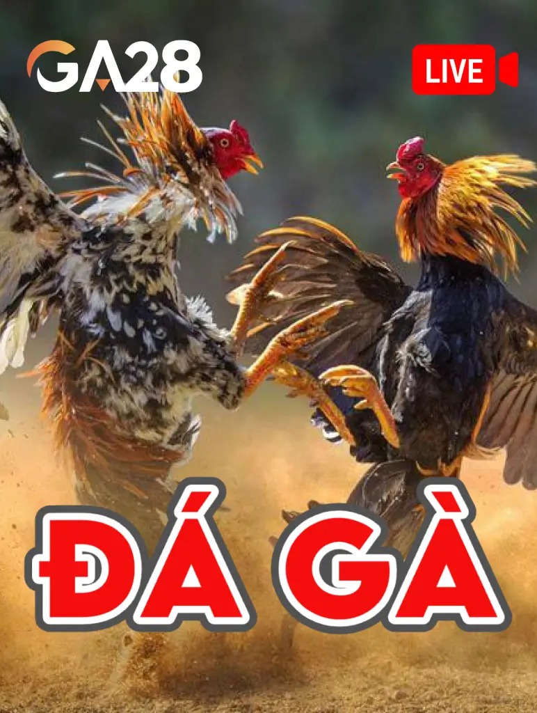 Đá Gà Livestream ONE88