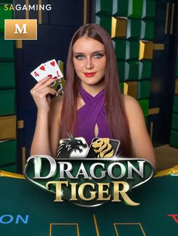 M Dragon Tiger ONE88