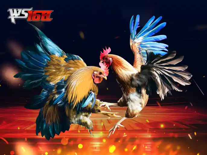 Đá Gà Livestream ONE88