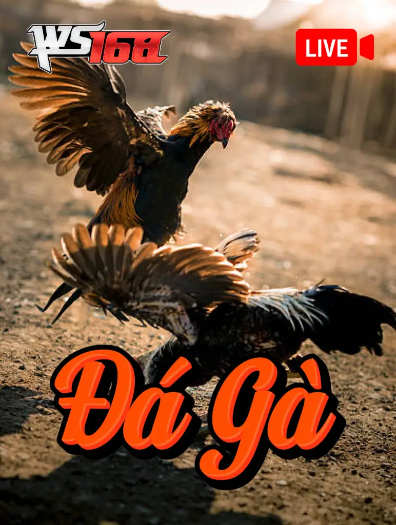 Đá Gà Livestream ONE88