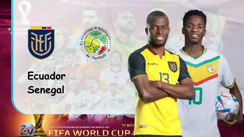Ecuador vs Senegal – Nhận định kèo bóng đá – 22h00 – 29/11/2022 – World Cup 2022 ONE88